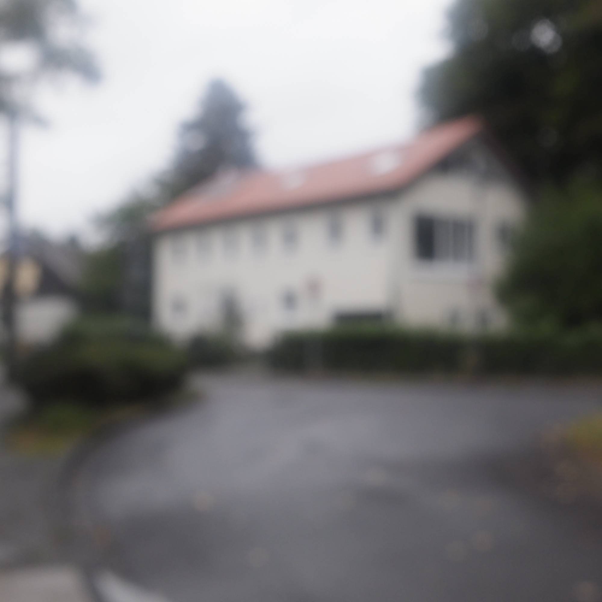 Hier bin ich aufgewachsne