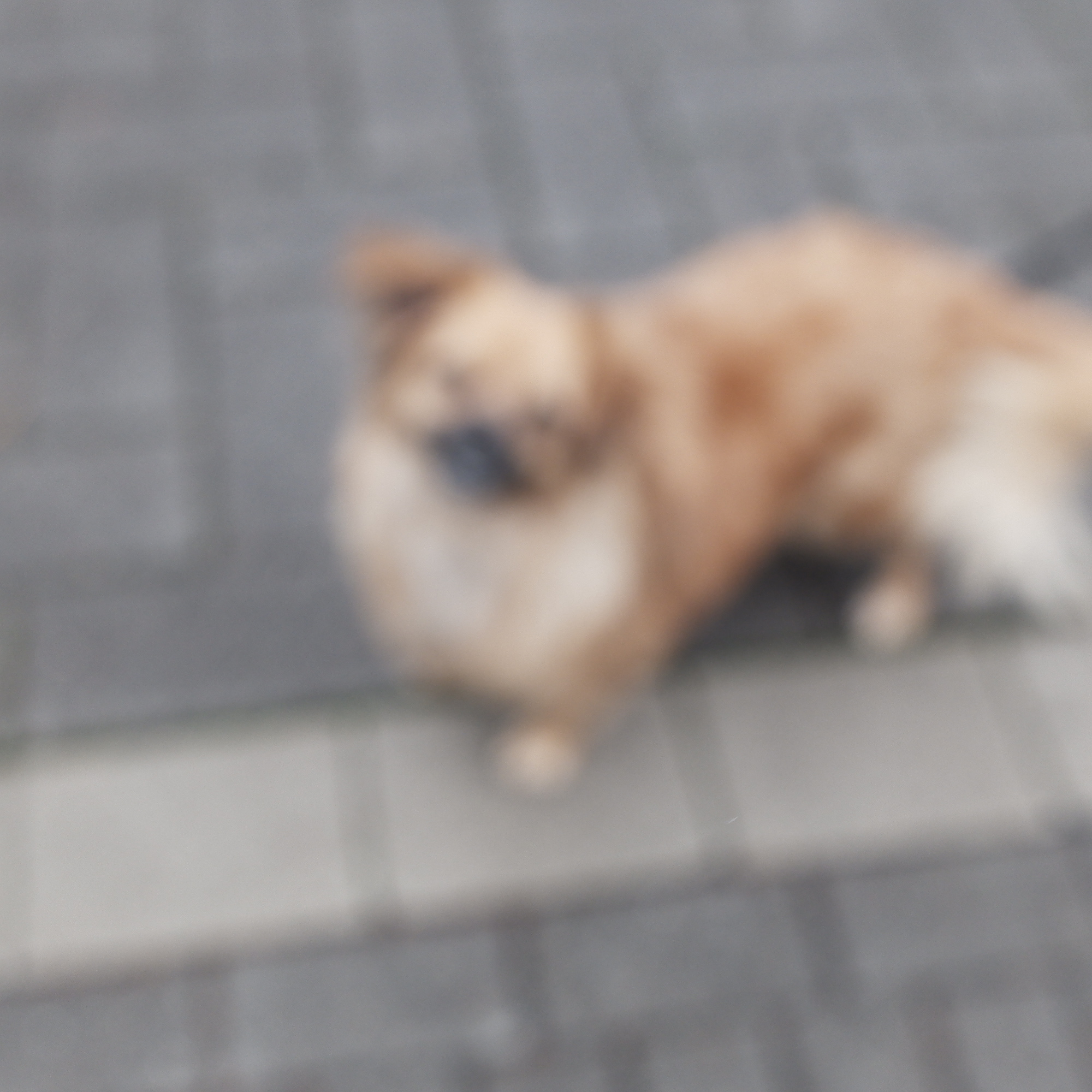 Da muss ich zu Hause nachsehen