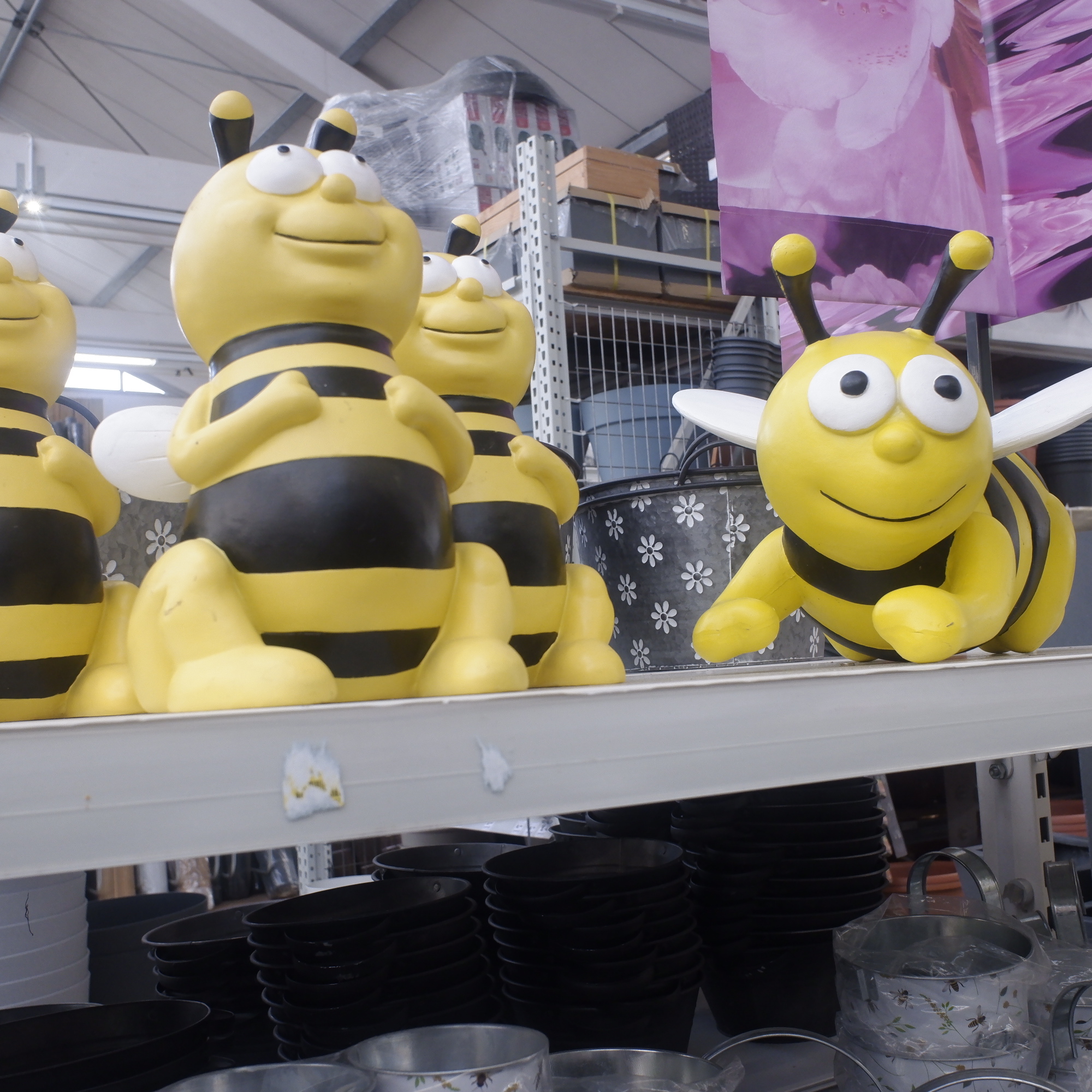 Aus dem alter bin ich raus