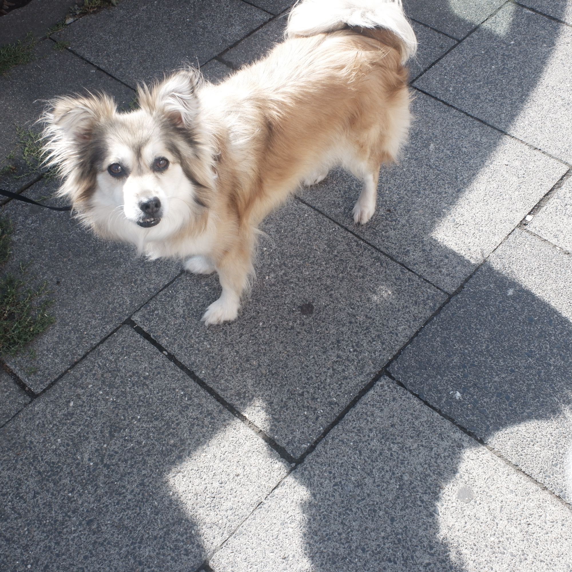 Wir treffen uns immer wieder