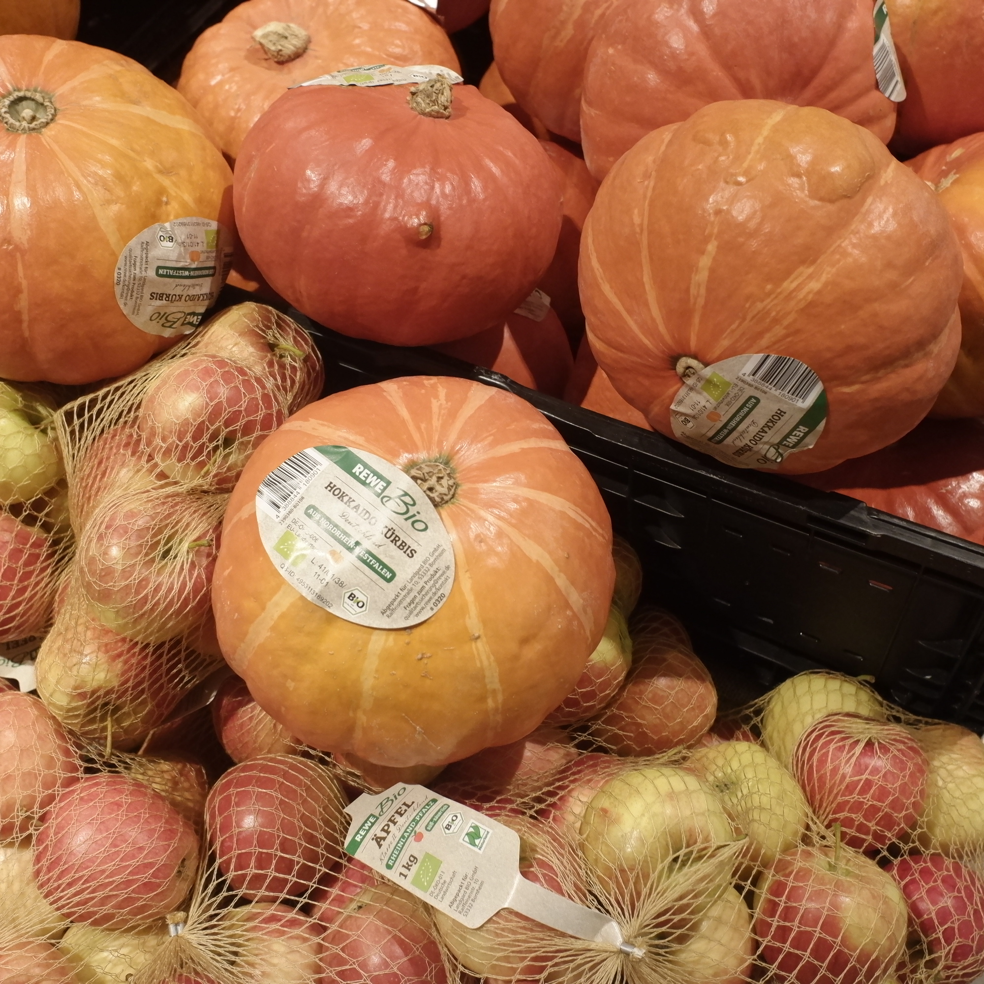 Zuhause sehe ich was ich gesehen habe